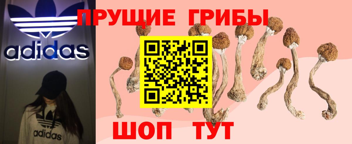 Галлюциногенные грибы Magic Shrooms  Псилоцибиновые грибы Psilocybine cubensis  Вход с VPN  Лысьва 